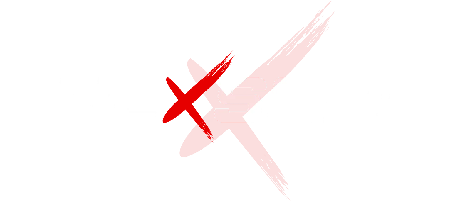 NEXSODE Studio Logo
